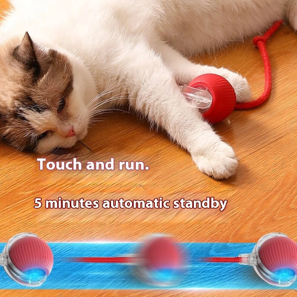 SwiftRoll Smart Interactive LED Pet Ball