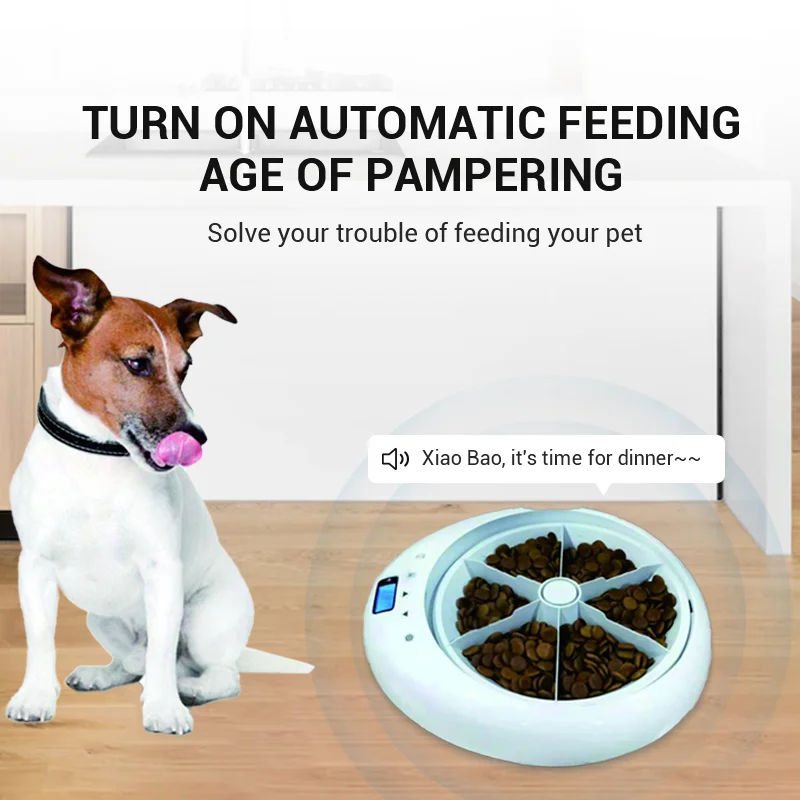VITAL360™ 6-Meal LED Intelligent Feeder