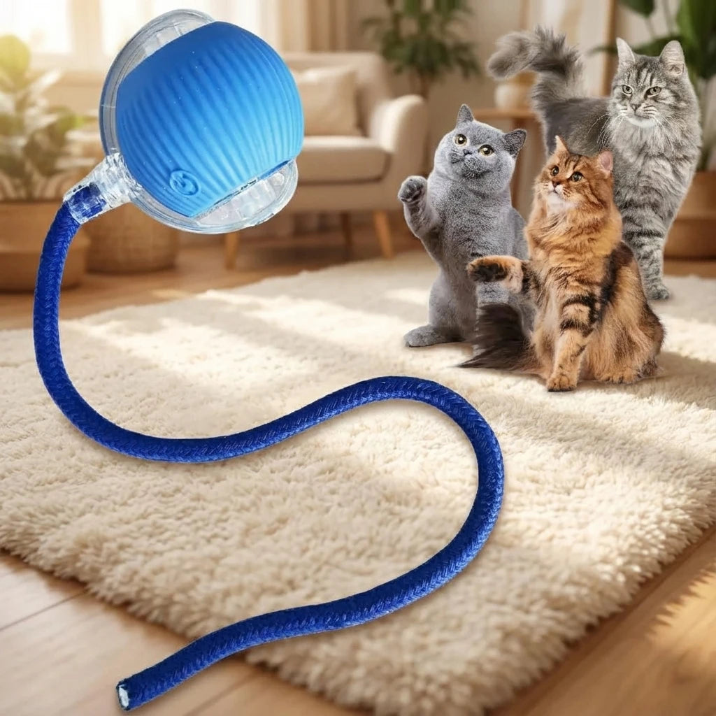 SwiftRoll Smart Interactive LED Pet Ball