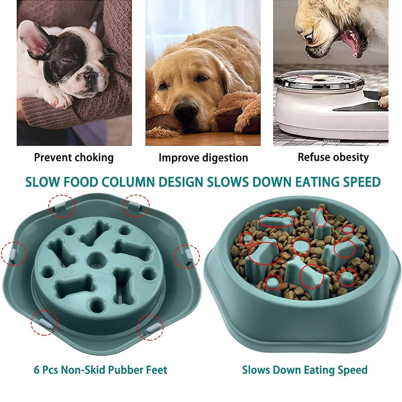 VITAL360 Puzzle-Feed Anti-Choke Bowl