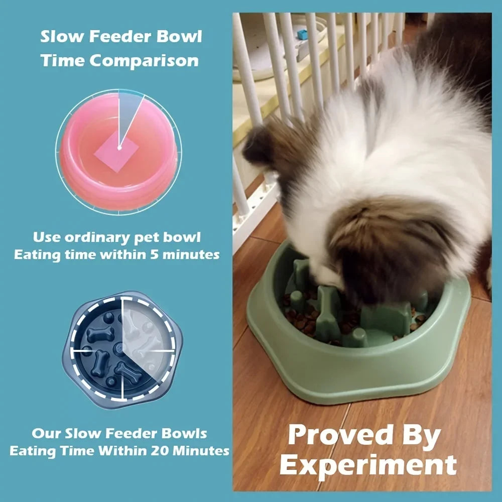 ZenDine Anti-Choke Slow Feeding Bowl