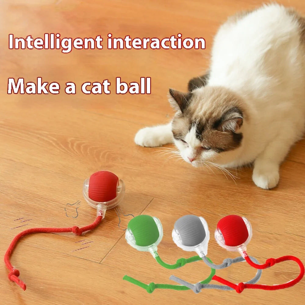 SwiftRoll Smart Interactive LED Pet Ball