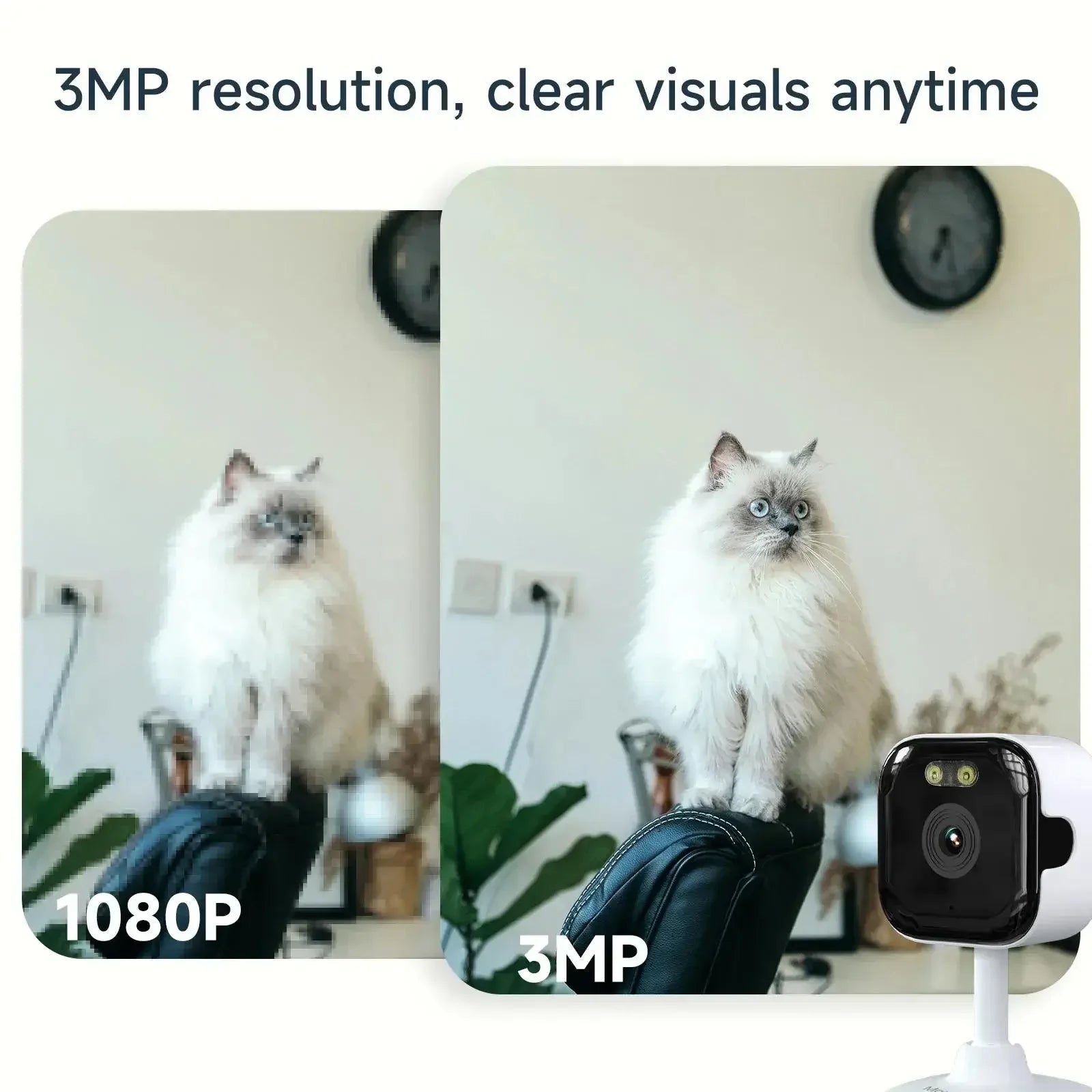 VITAL360 Panarama Dual-Band Window Cam