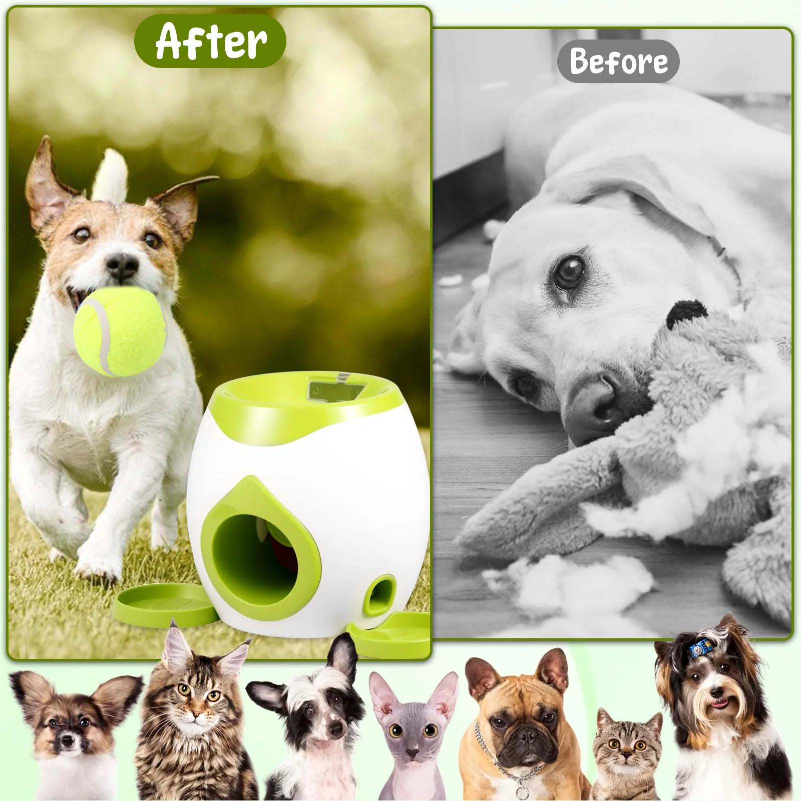 VITAL360 SmartTreat Launcher