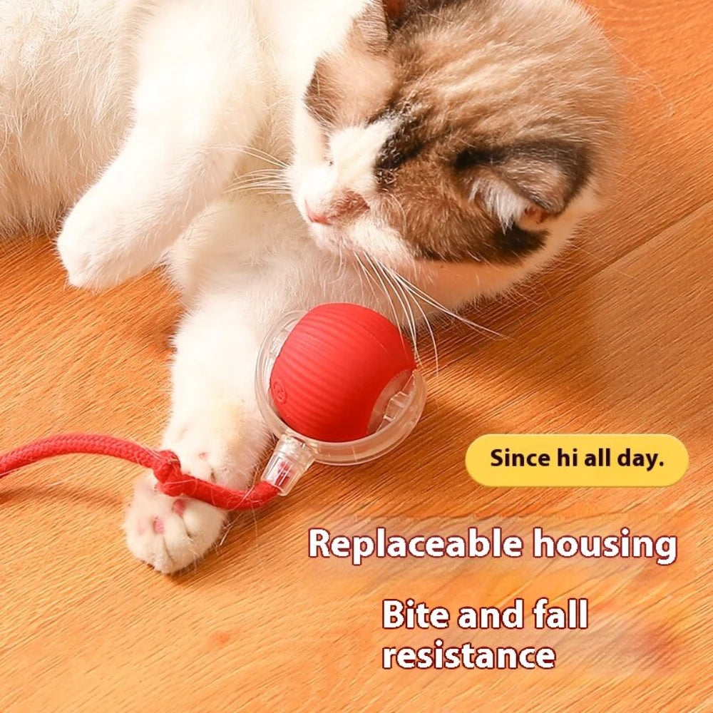 VITAL360 SwiftRoll Smart Interactive Pet Ball