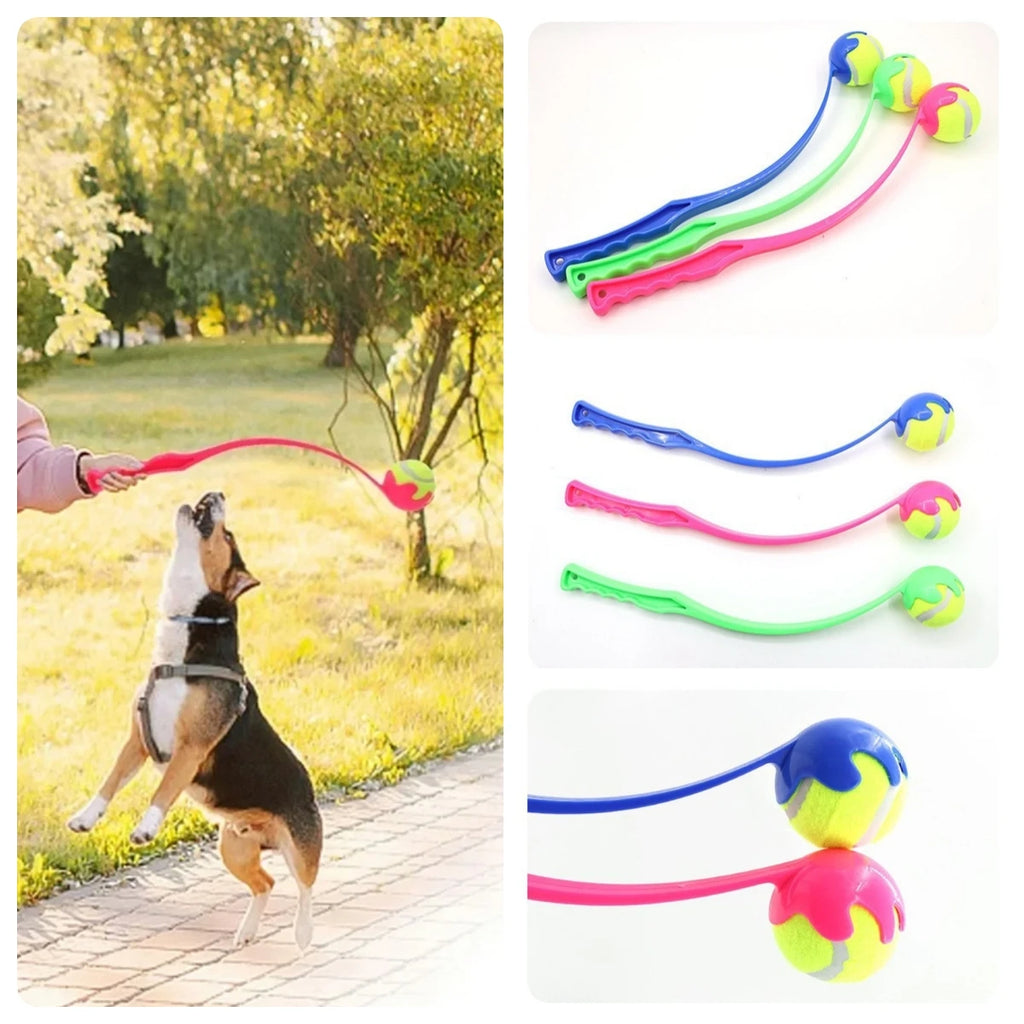 VITAL360 Pro-Series Dog Tennis Set