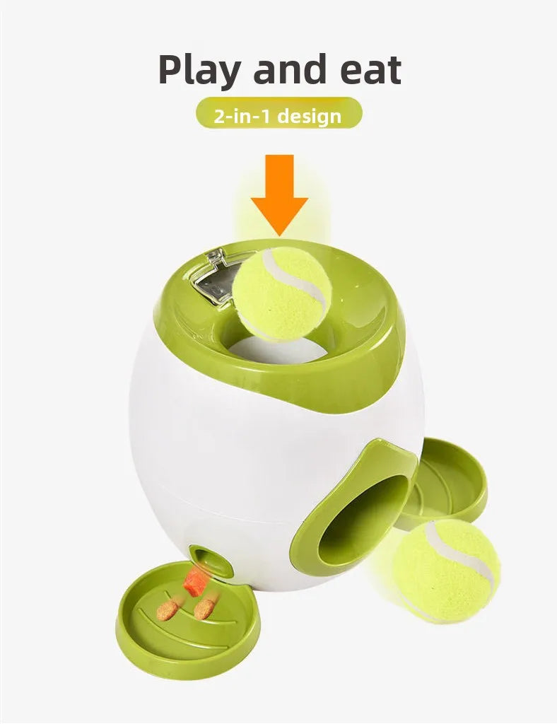 Mindplay Interactive Training Launcher