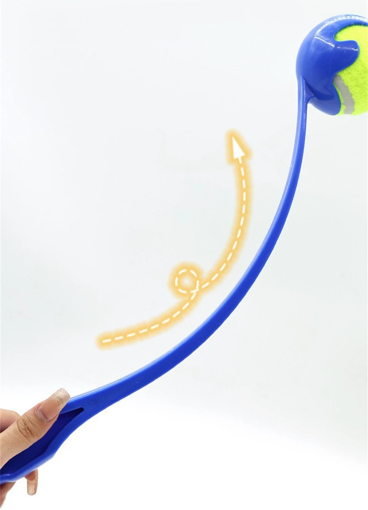 VITAL360 Outdoor Fetch and Training Set