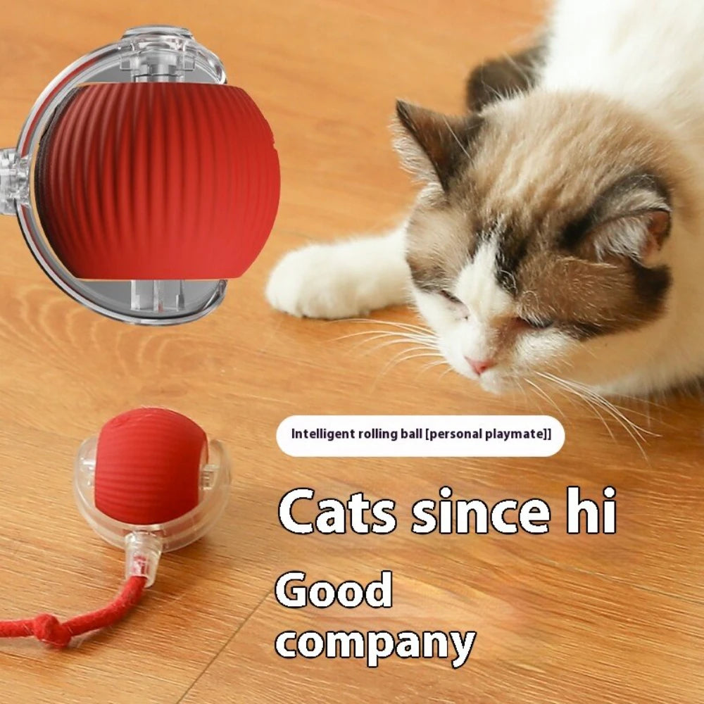SwiftRoll Smart Interactive LED Pet Ball