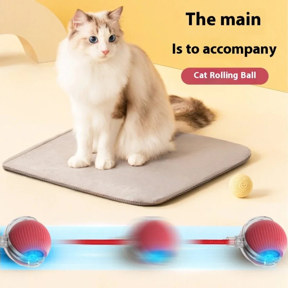 SwiftRoll Smart Interactive LED Pet Ball