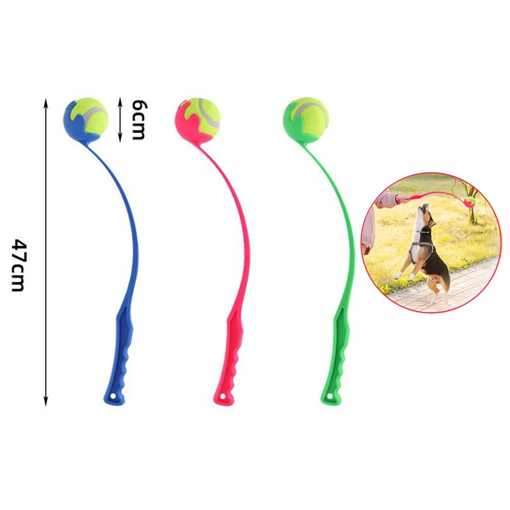 VITAL360 Outdoor Fetch and Training Set