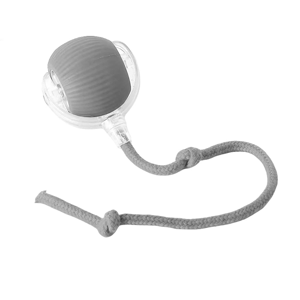 SwiftRoll Smart Interactive LED Pet Ball