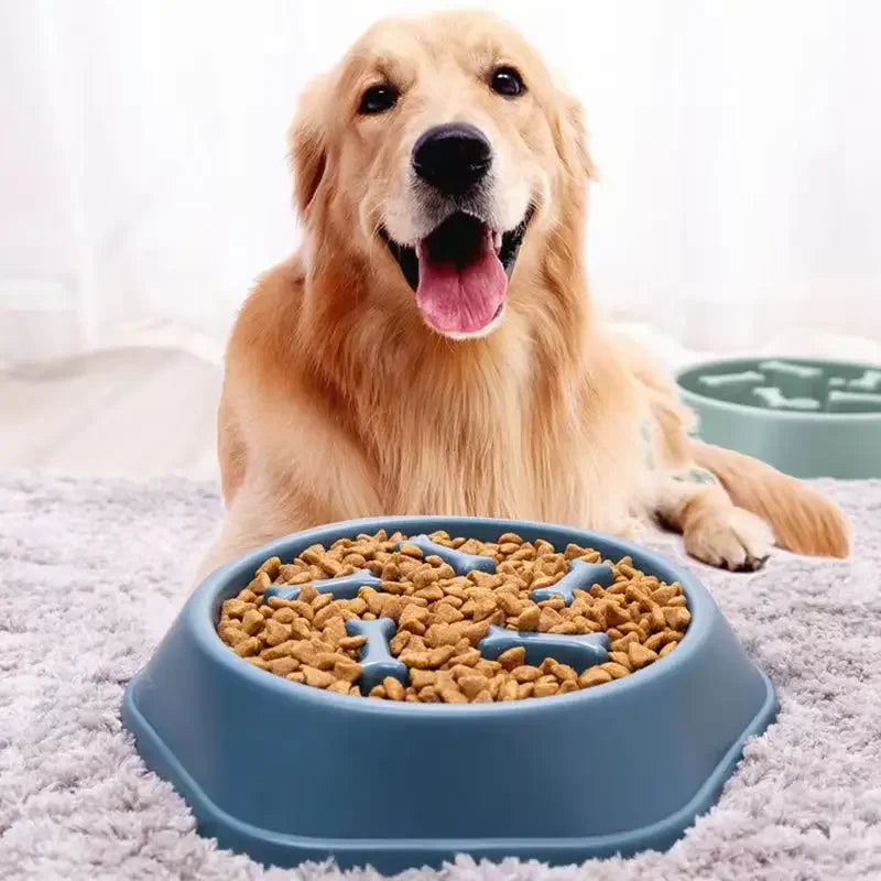 VITAL360 Puzzle-Feed Anti-Choke Bowl