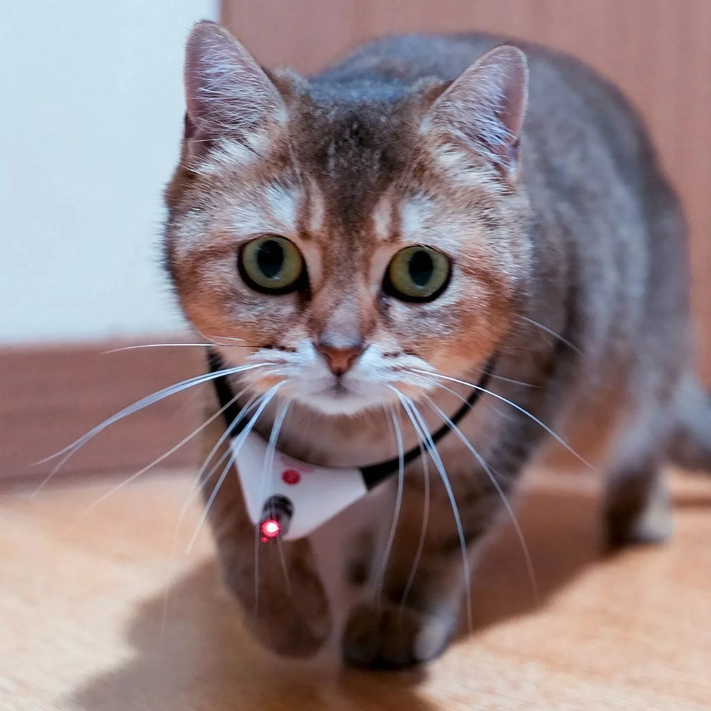 VITAL360™ Smart-Tease™ Interactive Collar