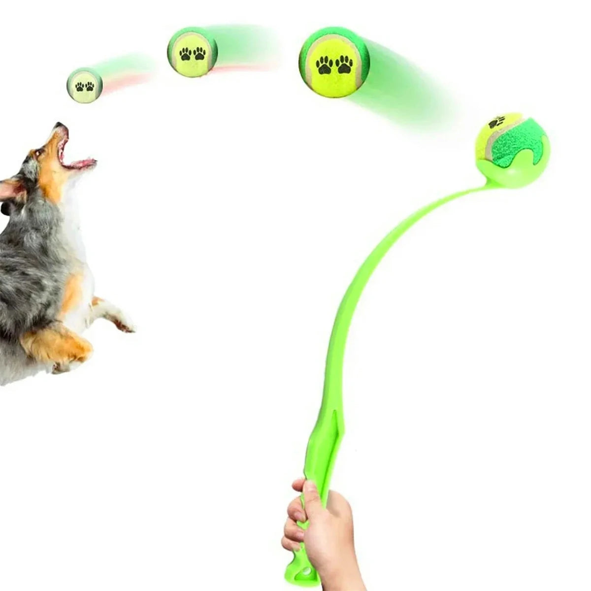 VITAL360 Pro-Series Dog Tennis Set
