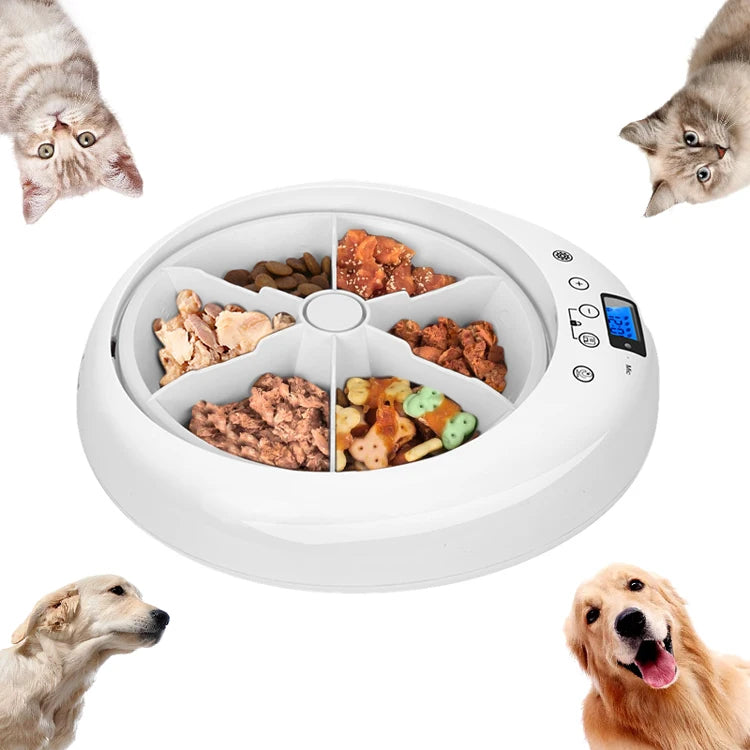 VITAL360™ 6-Meal LED Intelligent Feeder
