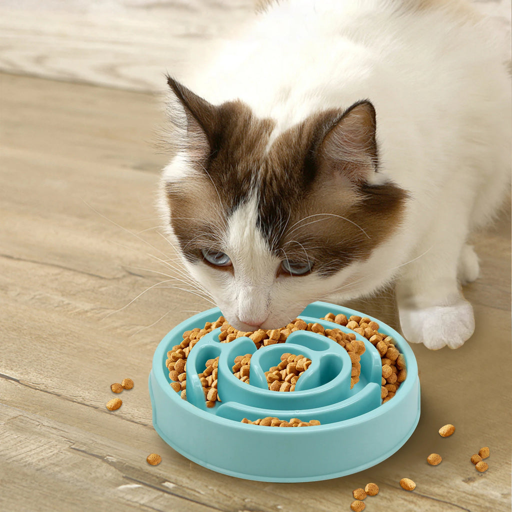 EcoPaws spiral Anti-Gulping Bowl