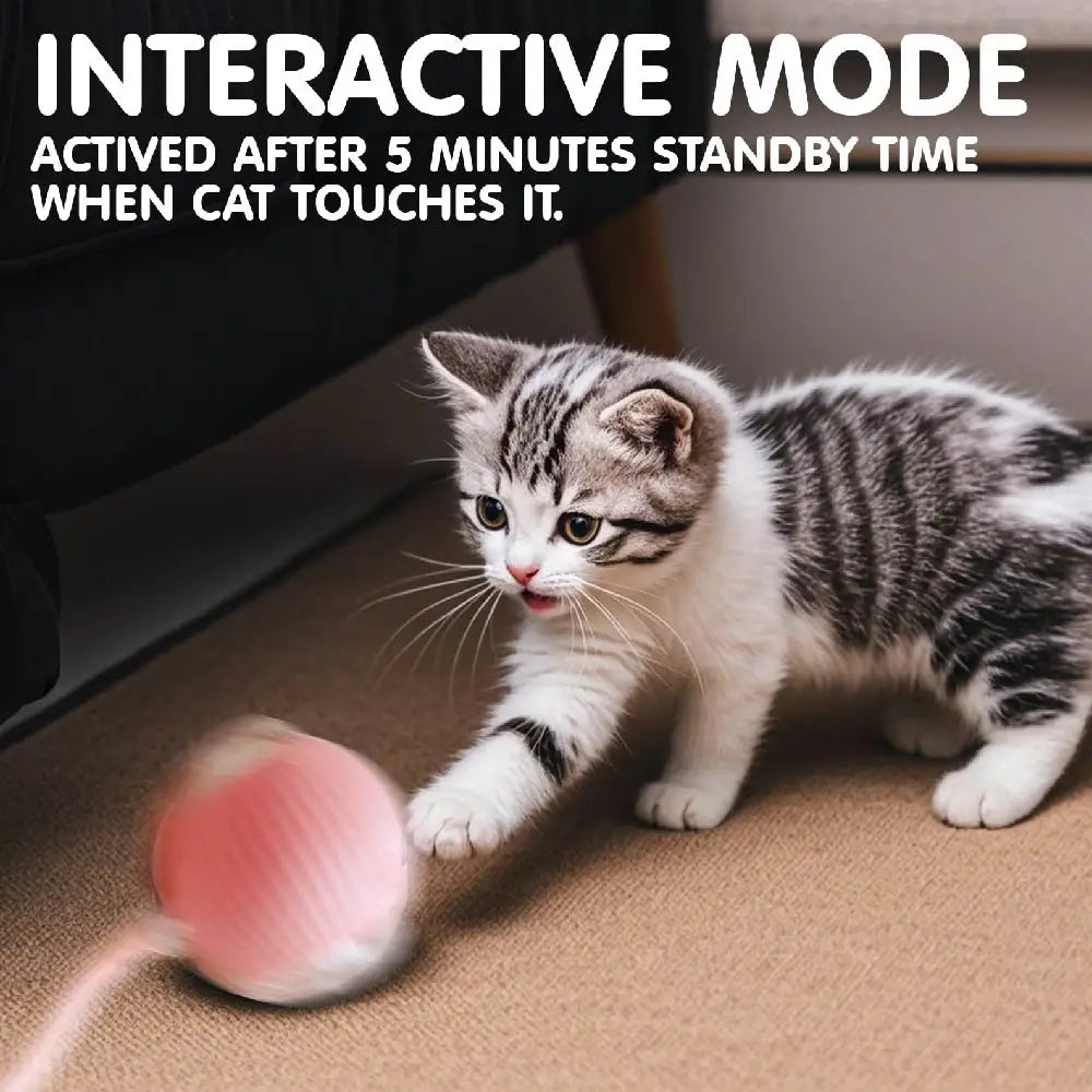 VITAL360 SwiftRoll Smart Interactive Pet Ball