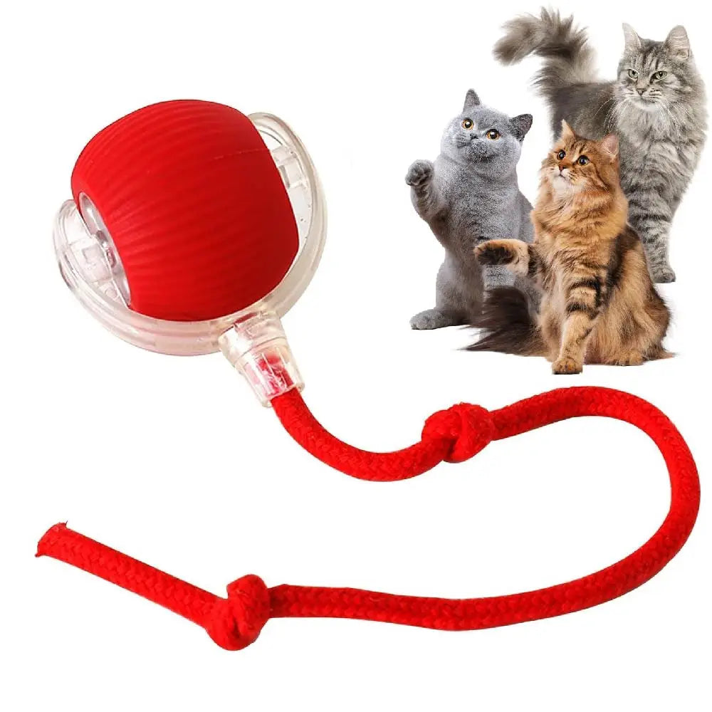 VITAL360 SwiftRoll Smart Interactive Pet Ball