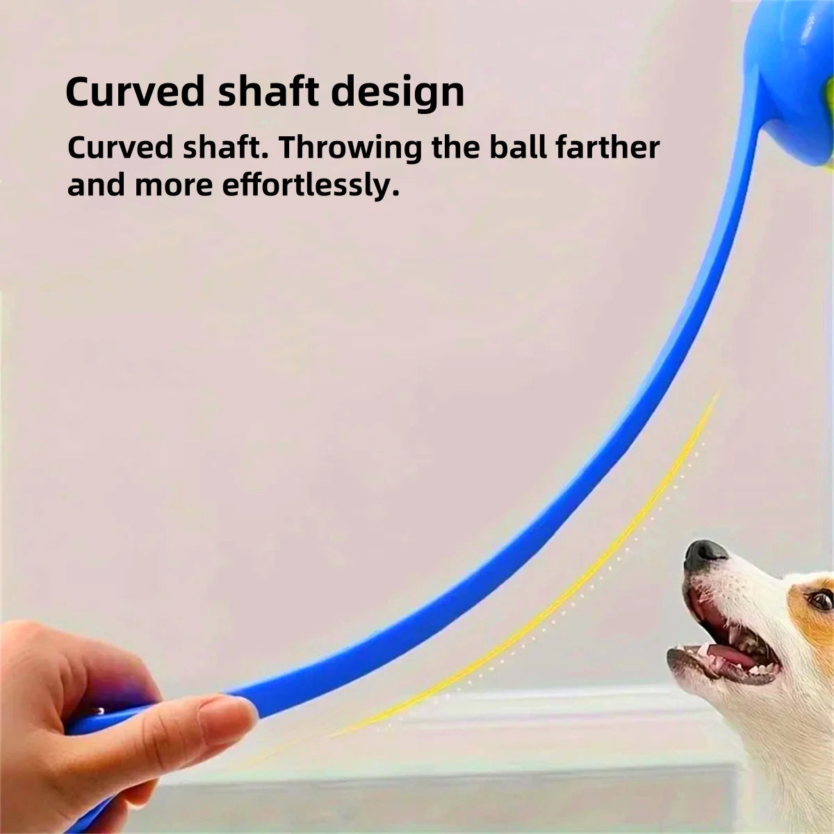 VITAL360 Pro-Series Dog Tennis Set