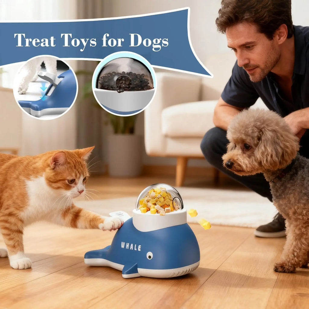QuackQuest interactive Snack Dispenser