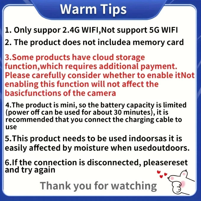 PocketGuard Nano Surveillance Cam