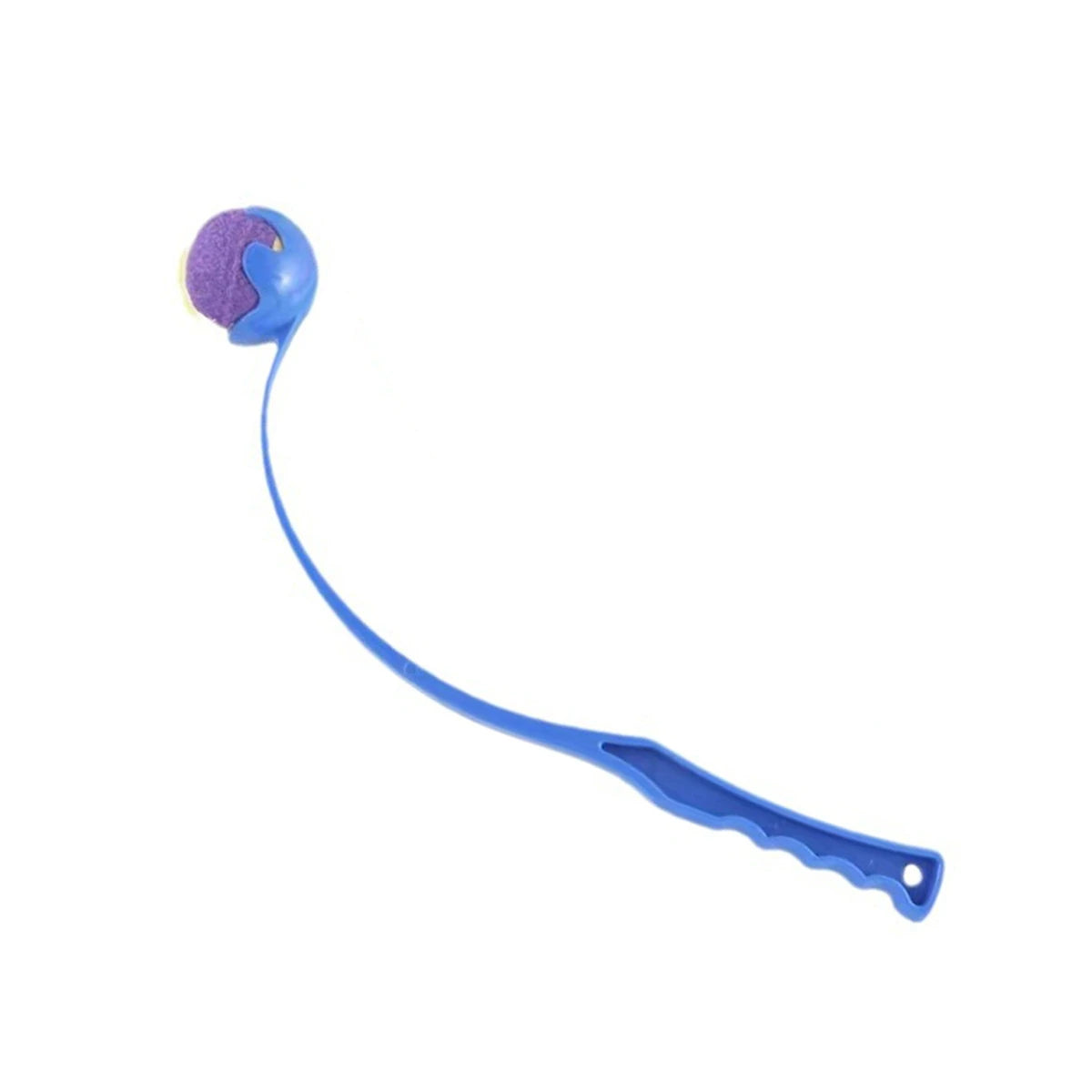 VITAL360 Outdoor Fetch and Training Set