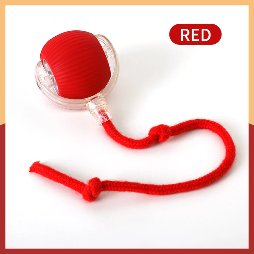 SwiftRoll Smart Interactive LED Pet Ball