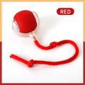 SwiftRoll Smart Interactive LED Pet Ball