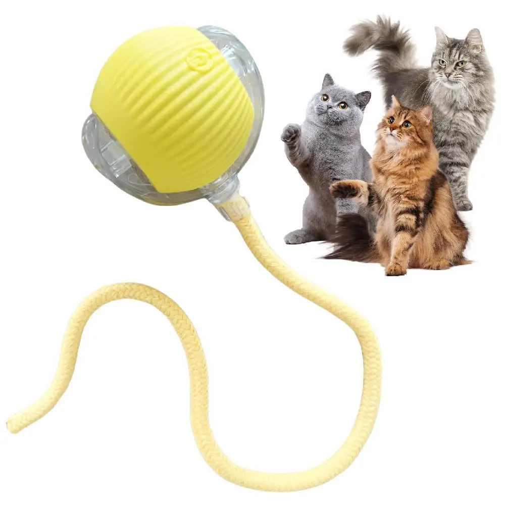VITAL360 SwiftRoll Smart Interactive Pet Ball