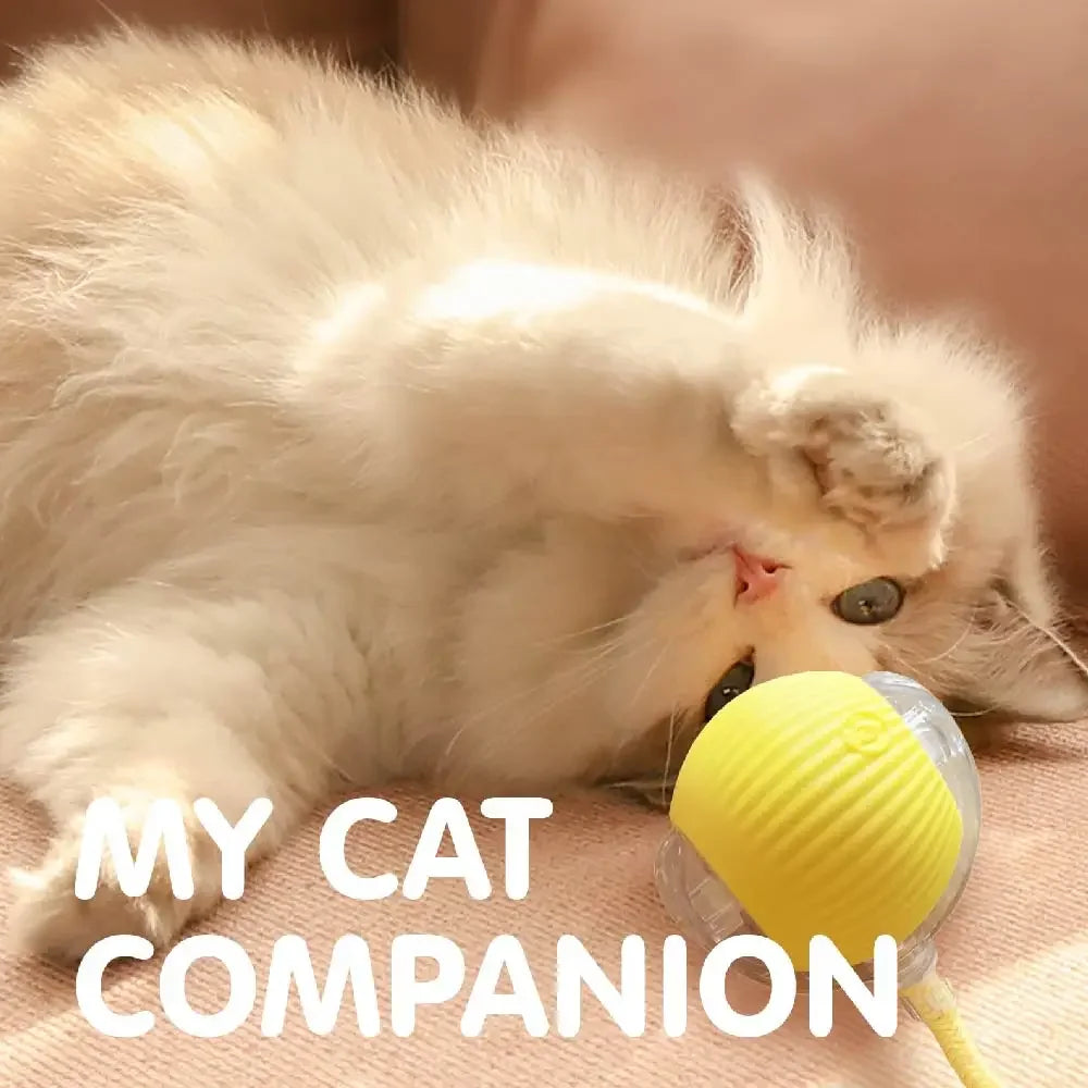 SwiftRoll Smart Interactive LED Pet Ball