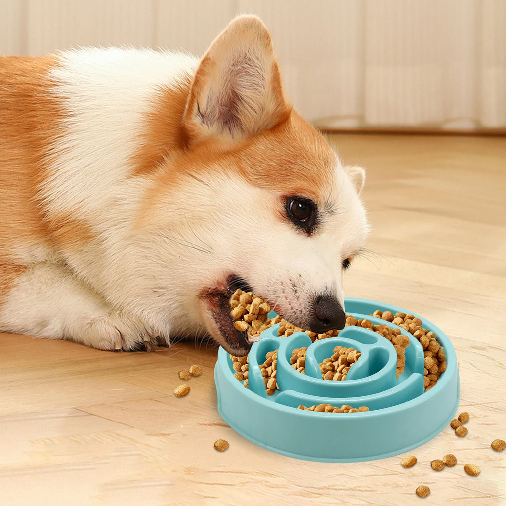 EcoPaws spiral Anti-Gulping Bowl