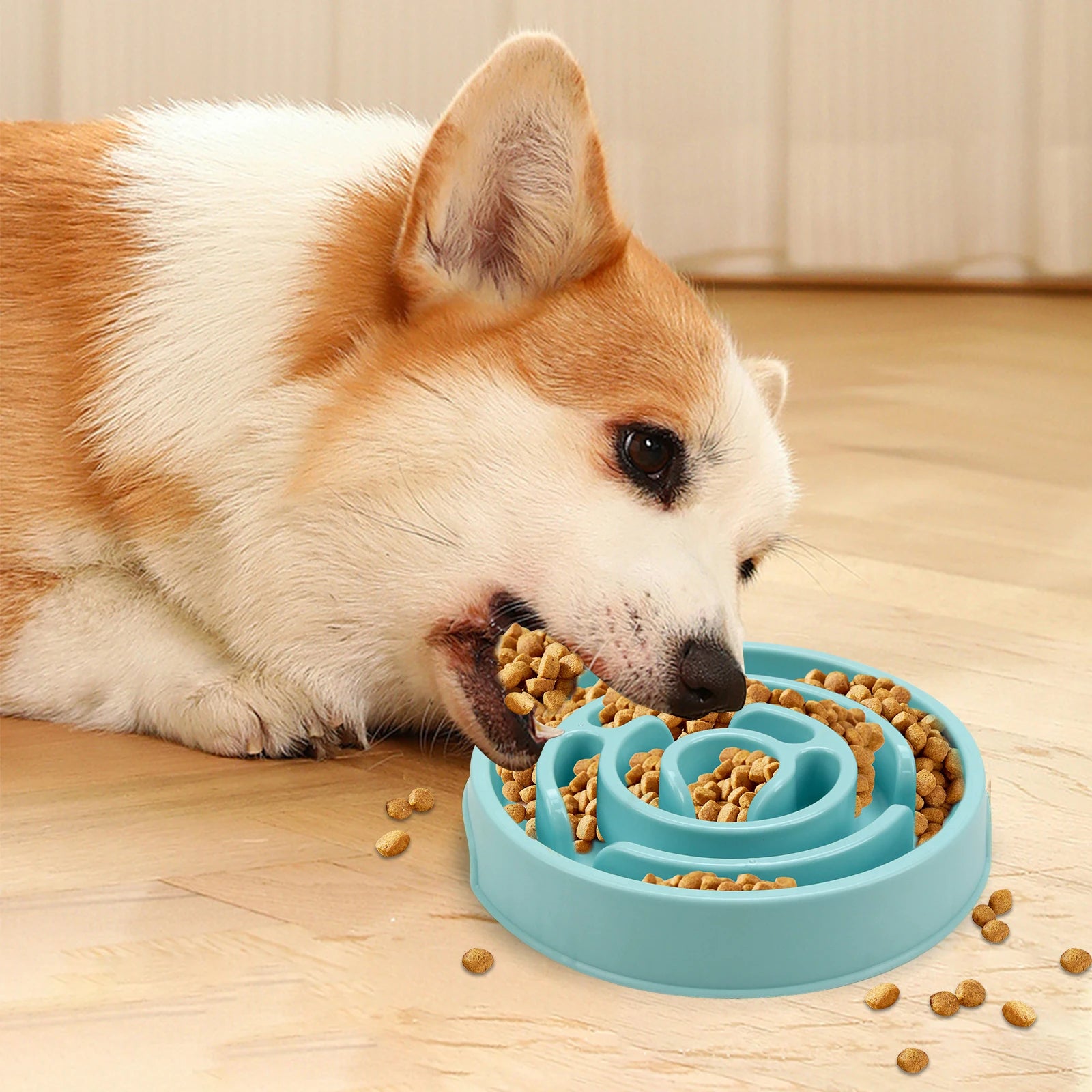 EcoPaws spiral Anti-Gulping Bowl
