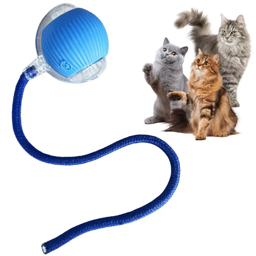 SwiftRoll Smart Interactive LED Pet Ball