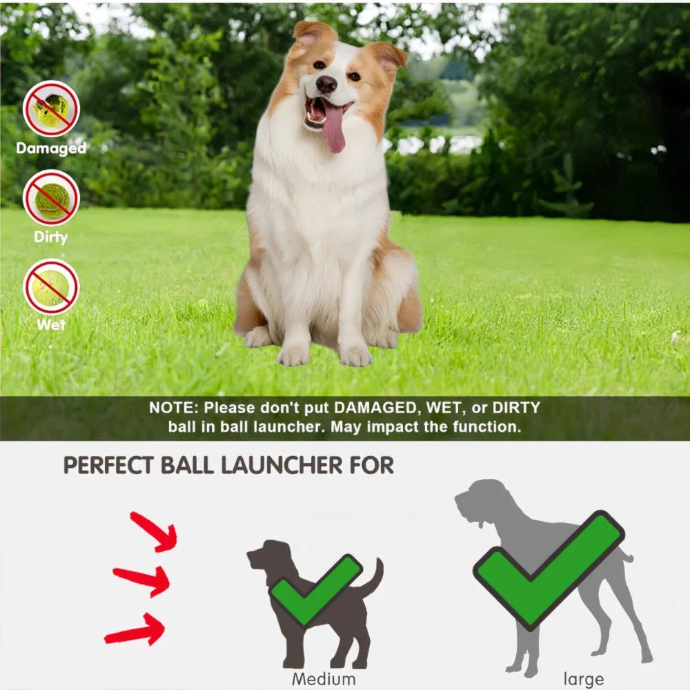 AeroChase Aeromatic Ball Launcher