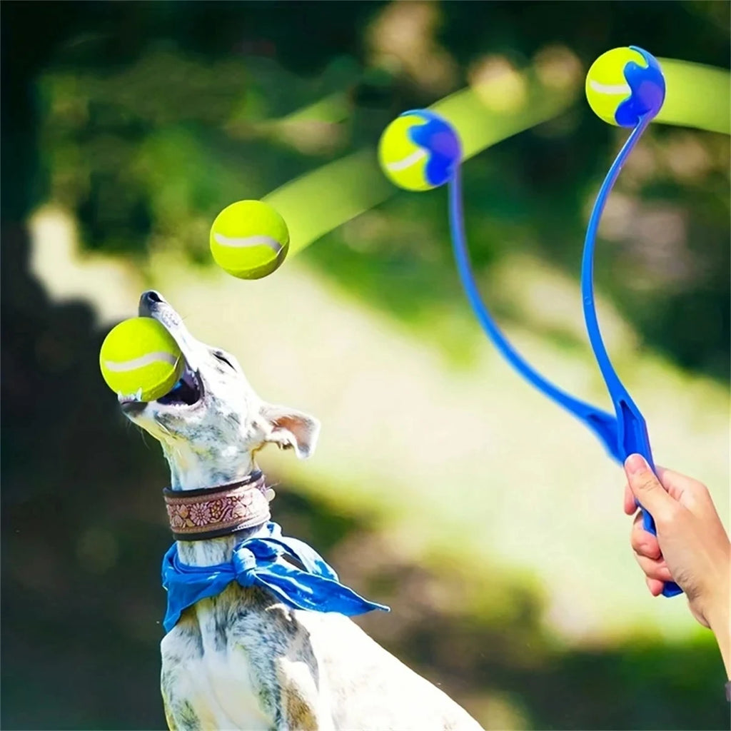 VITAL360 Outdoor Fetch and Training Set