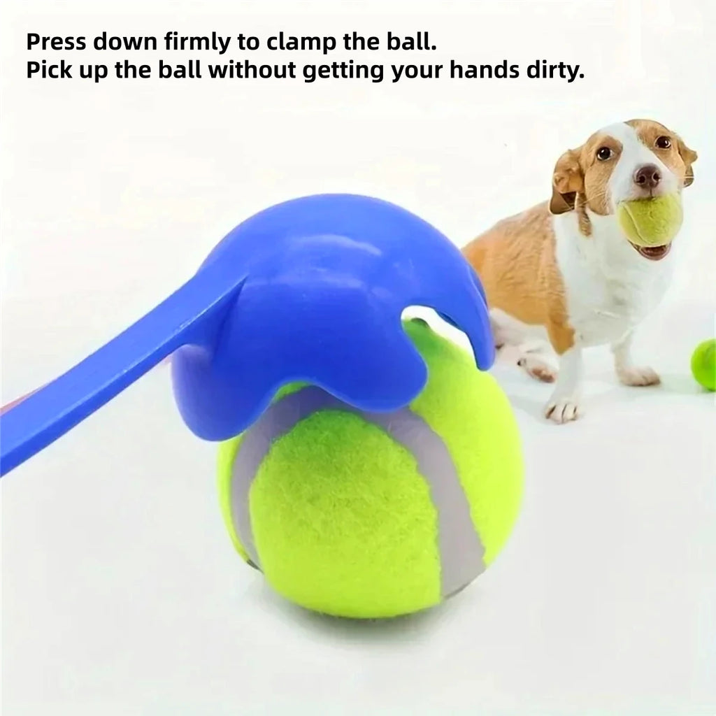 VITAL360 Outdoor Fetch and Training Set