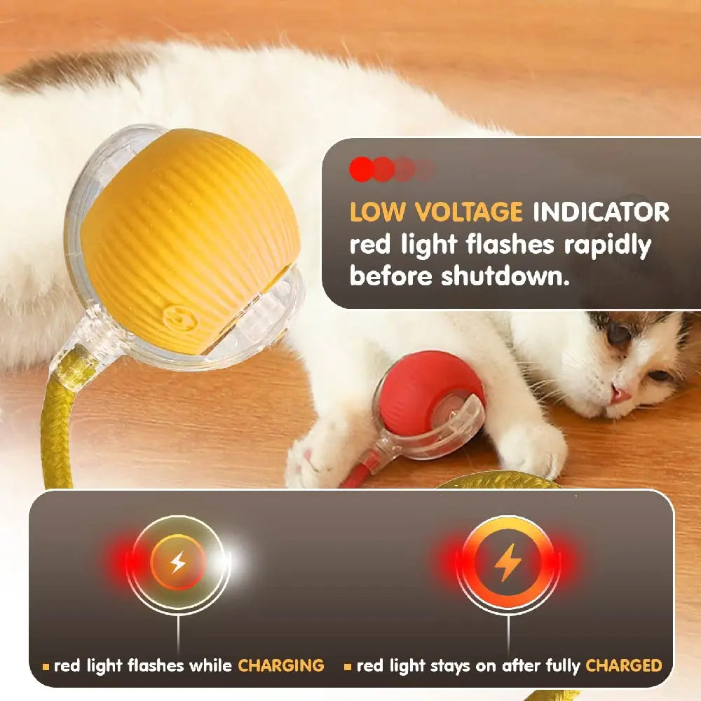 VITAL360 SwiftRoll Smart Interactive Pet Ball