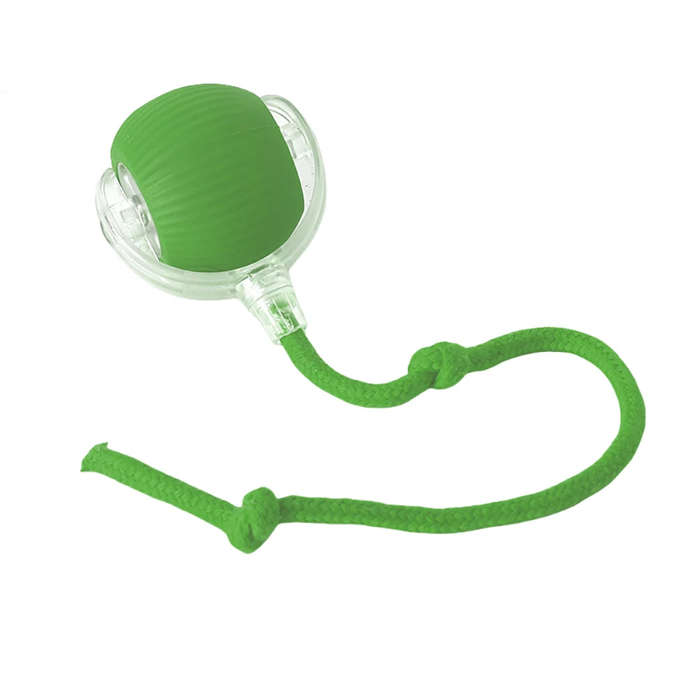 SwiftRoll Smart Interactive LED Pet Ball