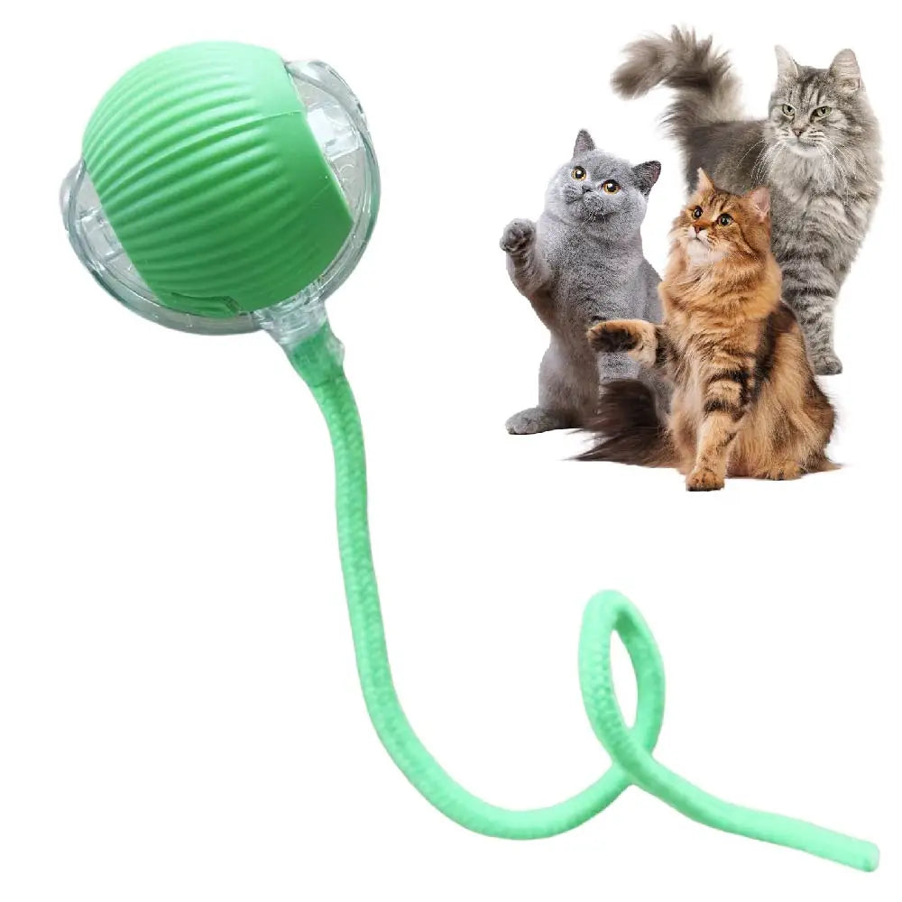 VITAL360 SwiftRoll Smart Interactive Pet Ball
