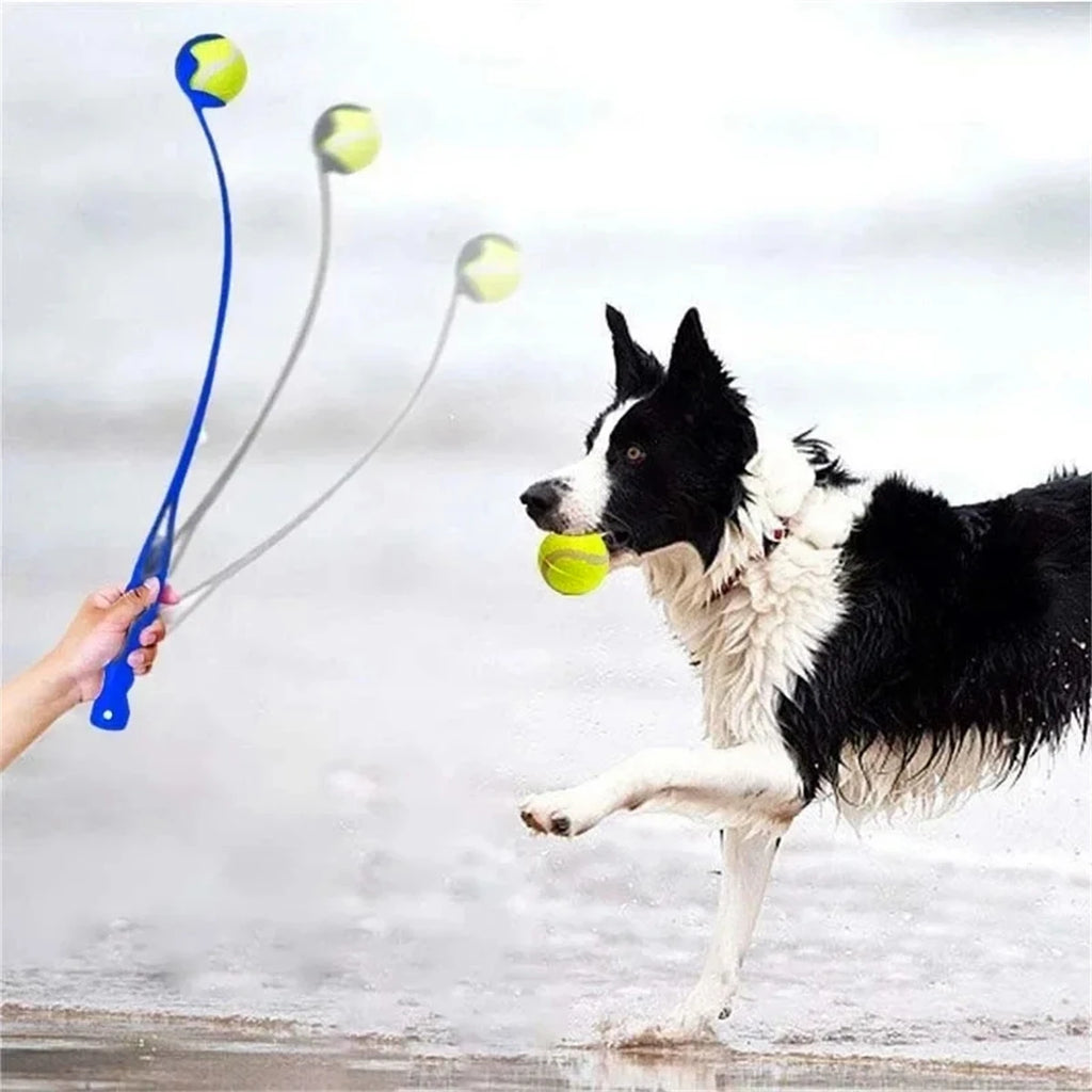 VITAL360 Outdoor Fetch and Training Set