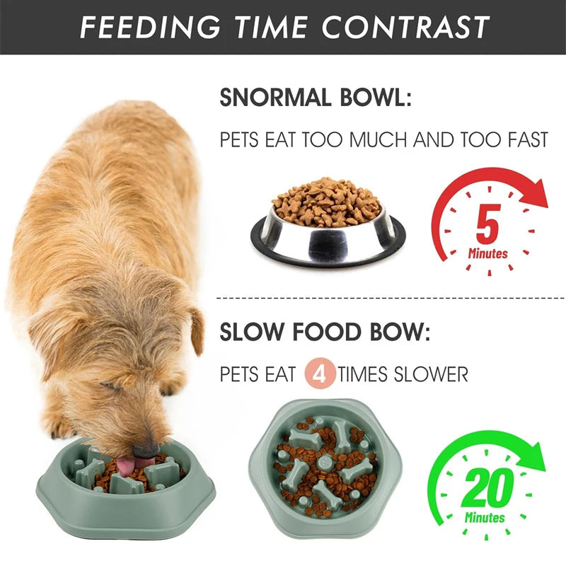 VITAL360 Puzzle-Feed Anti-Choke Bowl